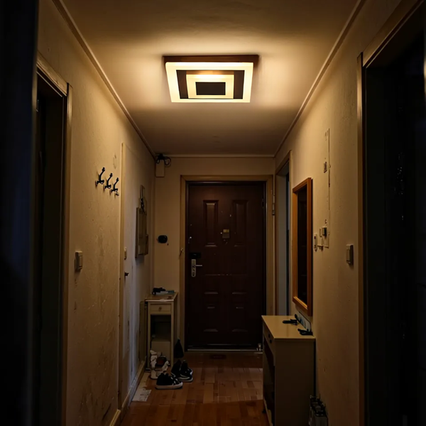 Plafonnier hall d'entrée