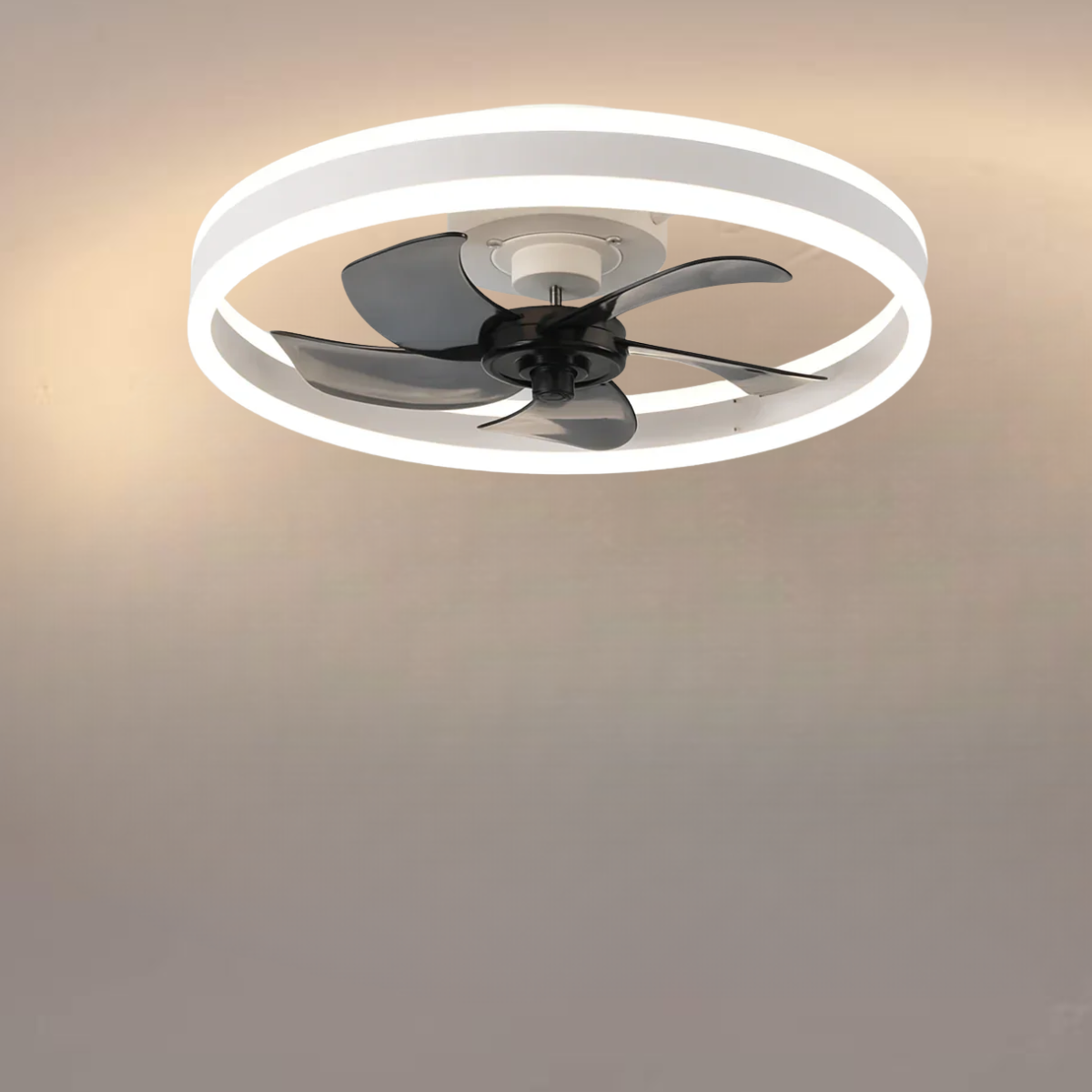 Ventilateur plafonnier silencieux