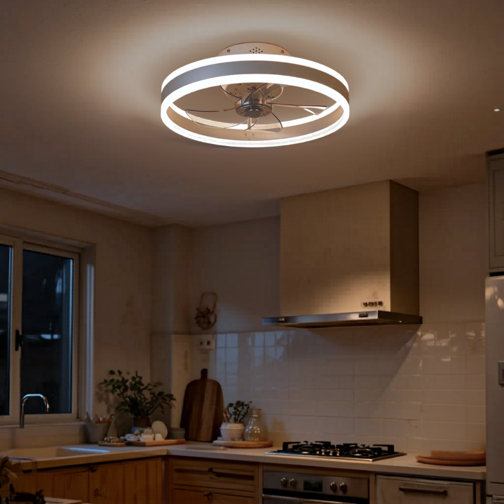 Ventilateur plafonnier silencieux