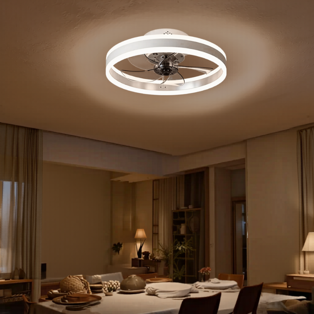 Ventilateur plafonnier silencieux