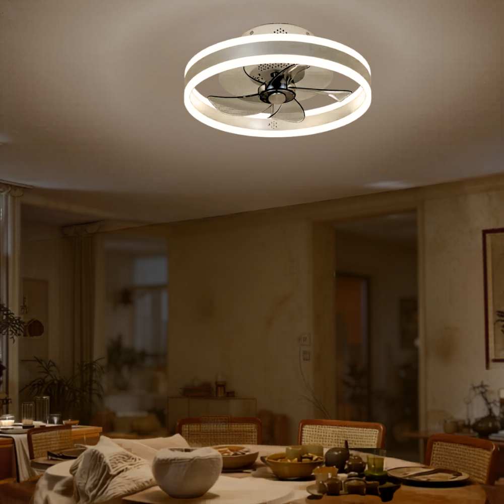 Ventilateur plafonnier silencieux