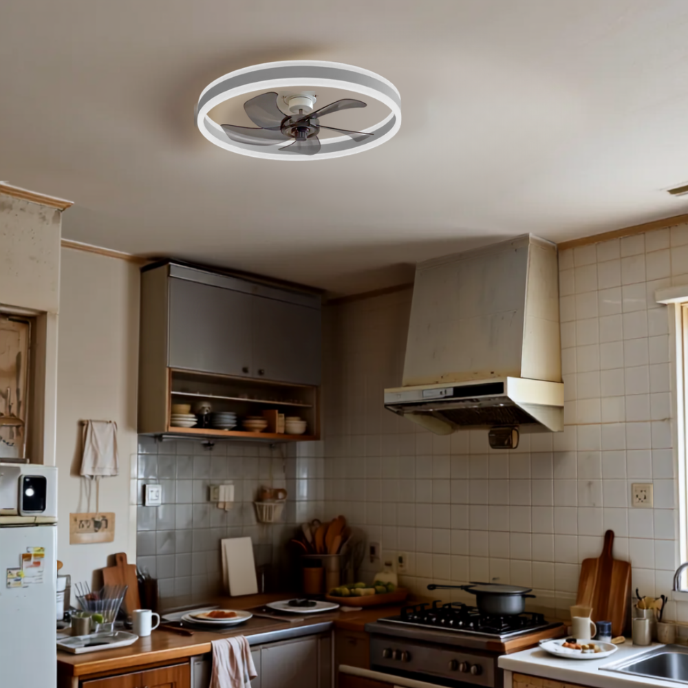 Ventilateur plafonnier silencieux