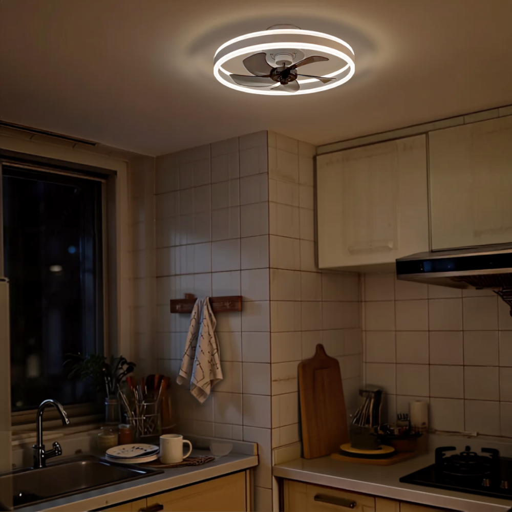 Ventilateur plafonnier silencieux