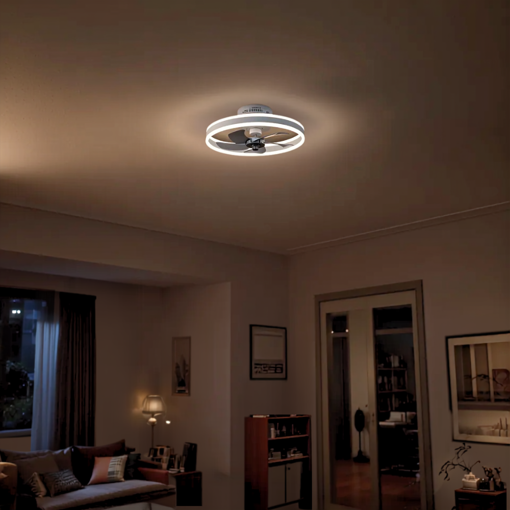 Ventilateur plafonnier silencieux