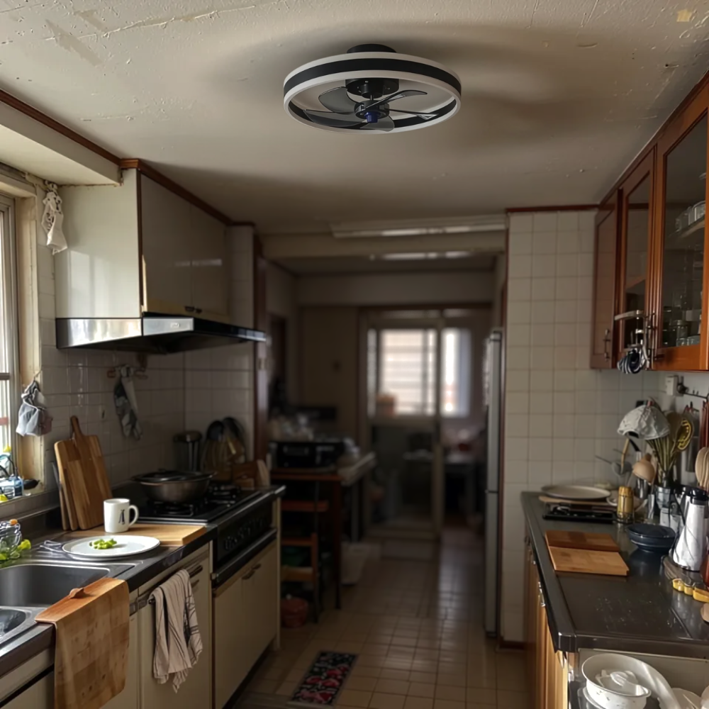 Ventilateur plafonnier silencieux
