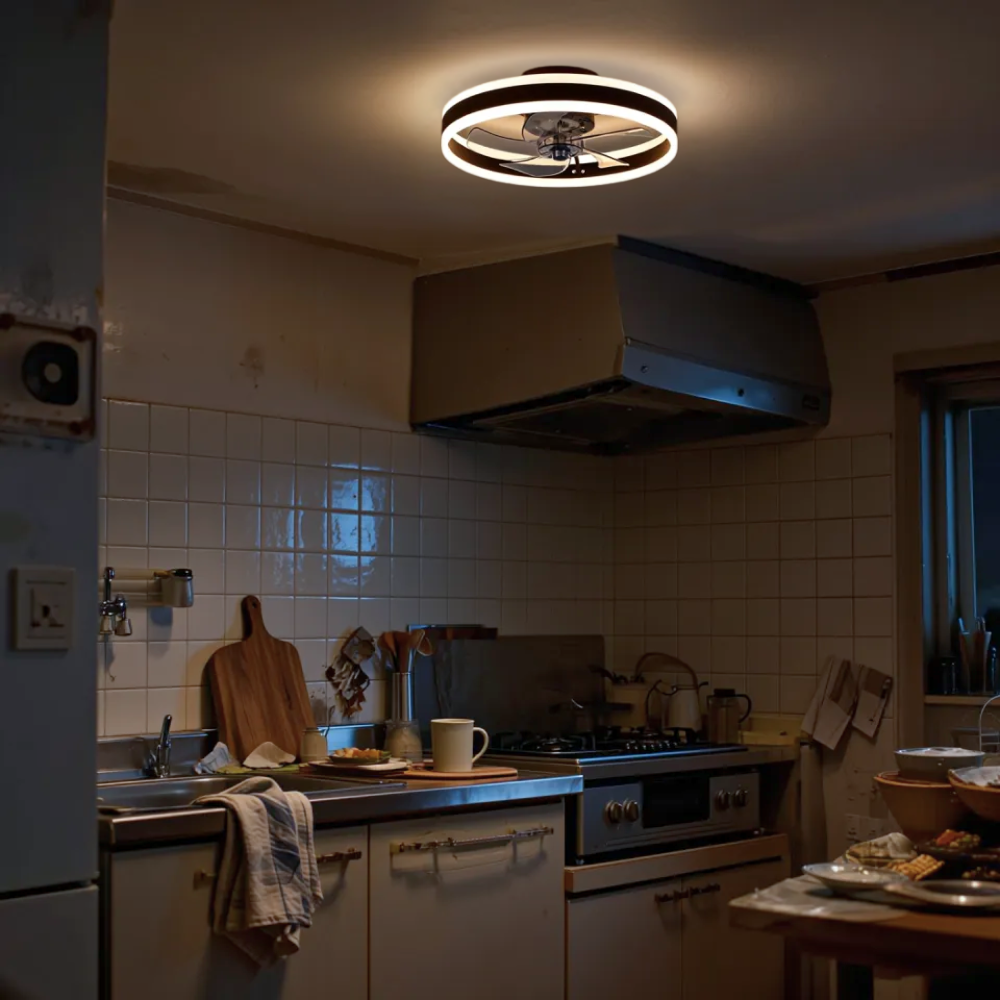 Ventilateur plafonnier silencieux