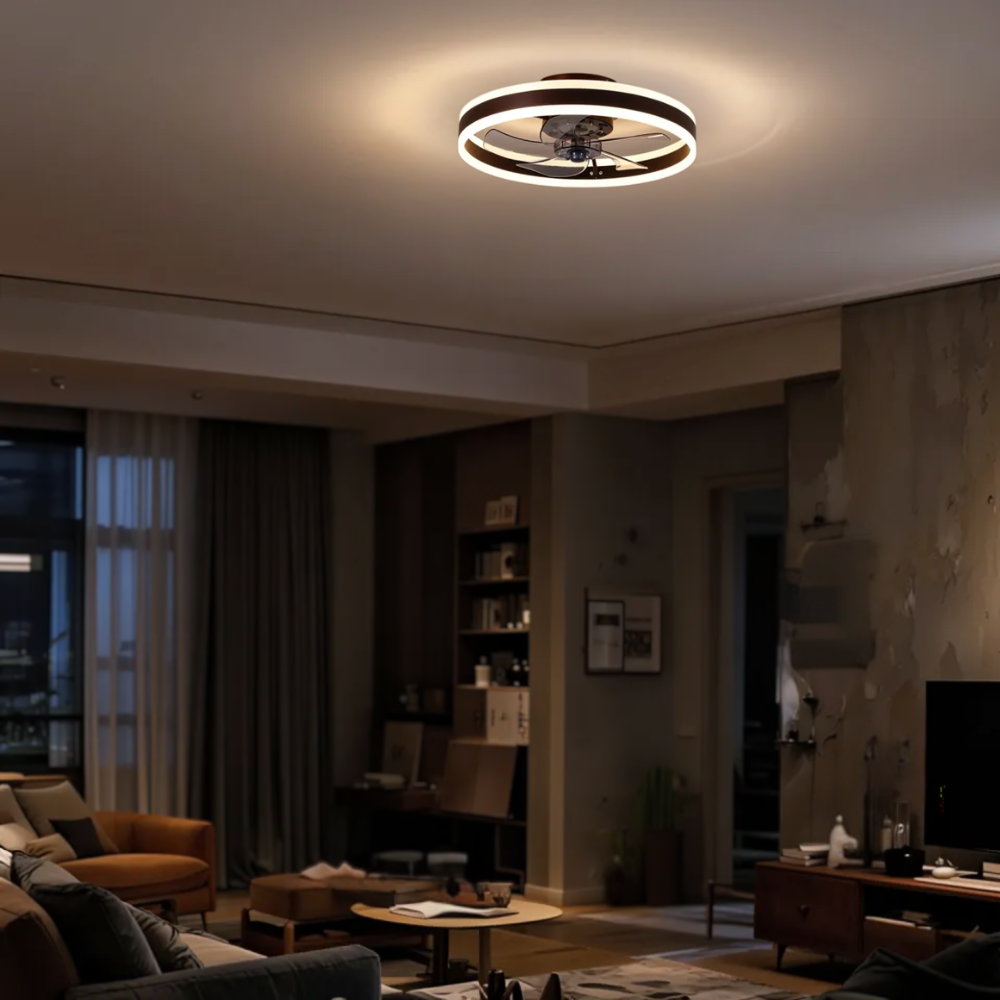 Ventilateur plafonnier silencieux